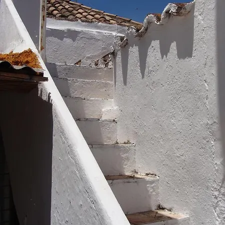 Aguarela