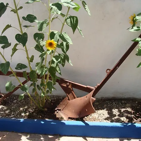 Casa de hóspedes Aguarela