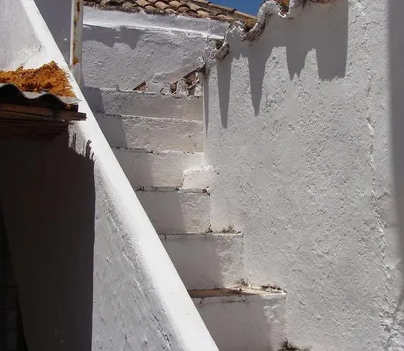 Aguarela