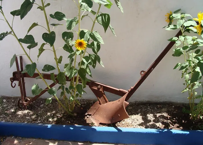 بيت ضيافة Aguarela